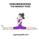 ASANA – THE YOGA POSTURES | Yogic Way Of Life