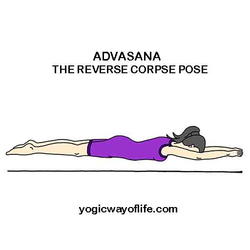 ADVASANA - Reverse Corpse Pose