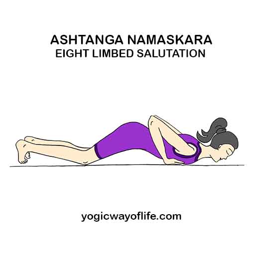 Ashtanga Namaskara - Eight Limbed Salutation