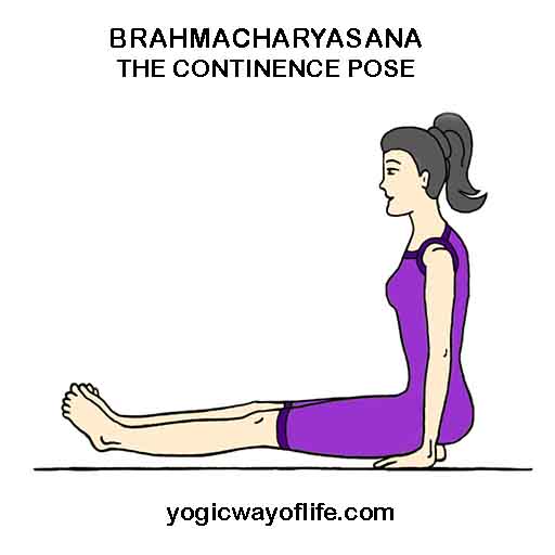 brahmacharyasana - Continence Pose