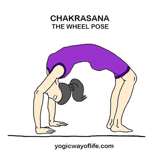 CHAKRASANA - Wheel Pose