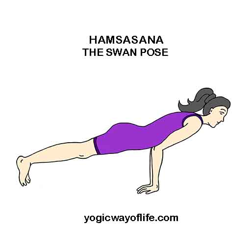 HAMSASANA - Swan Pose