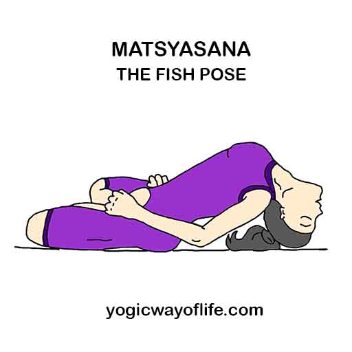 MATSYASANA - Fish Pose