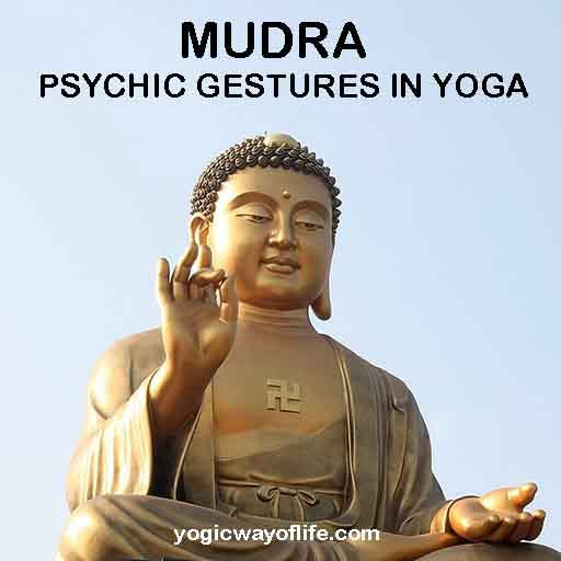 Mudra - Psychic Gestures in Yoga
