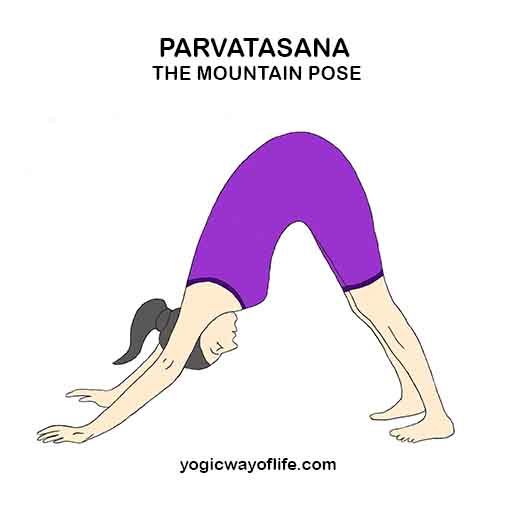 Parvatasana - Mountan Pose