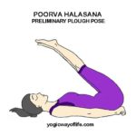 Poorva Halasana - Preliminary Plough Pose
