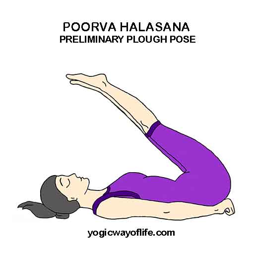 POORVA HALASANA - Preliminary Plough Pose