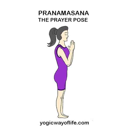 Pranamasana - Prayer Pose