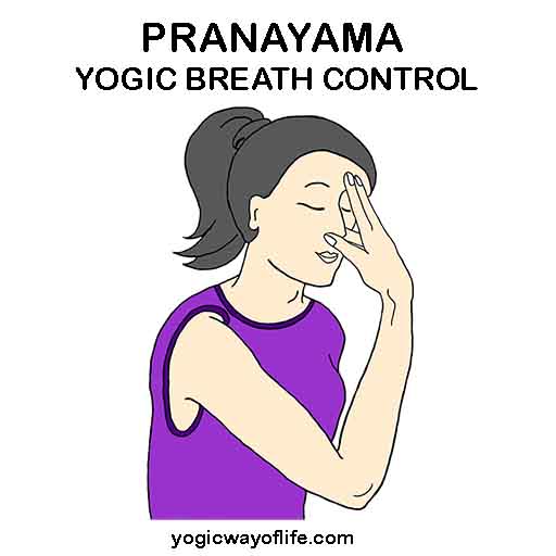 Pranayama - Yogic breath control