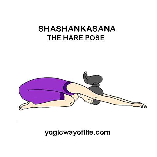 SHASHANKASANA - Hare Pose