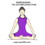 Siddhasana - The Accomplished Pose