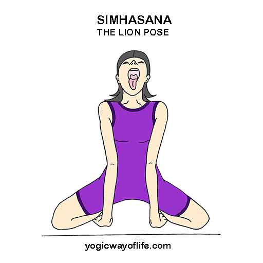 SIMHASANA - Lion Pose