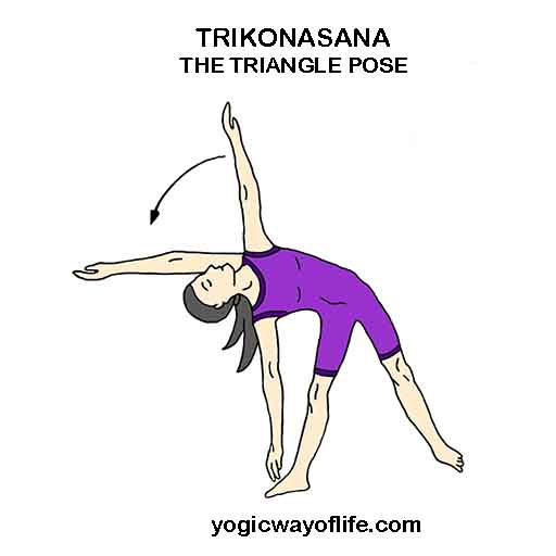 TRIKONASANA - Triangle Pose