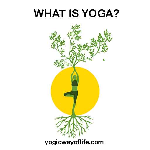 What is Yoga