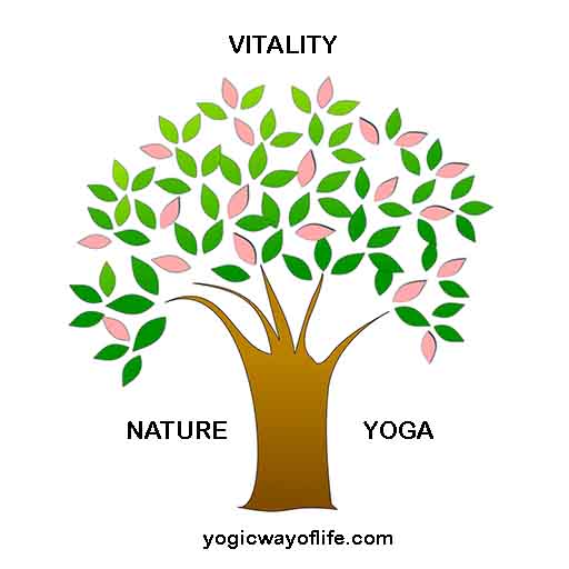 Increase Vitality with Yoga and Naturopathy