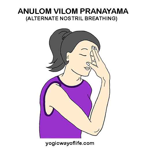 Anulom Vilom Pranayama - Alternate Nostril breathing