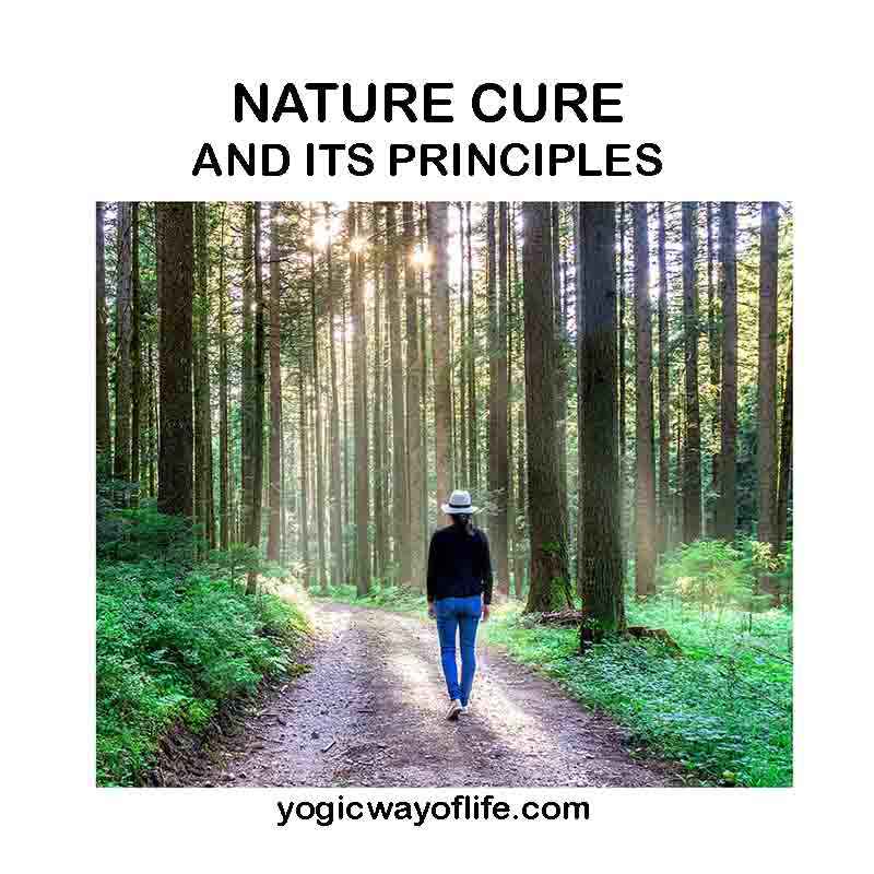 Nature cure and its principles