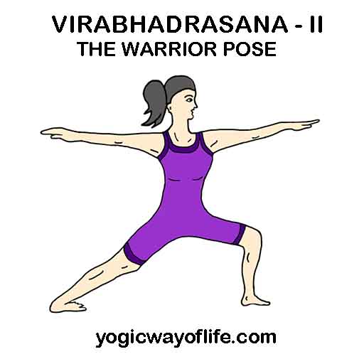 Virabhadrasana II - Warrior Pose