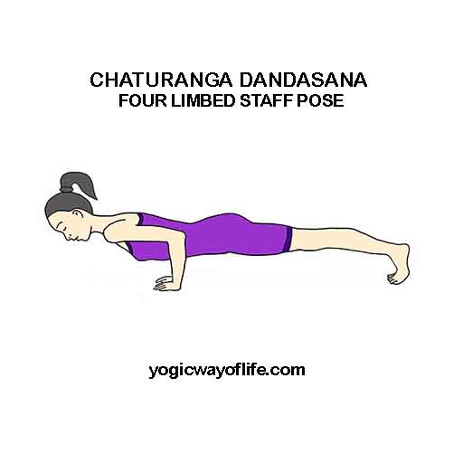 Chaturanga Dandasana - Four Limbed Staff Pose