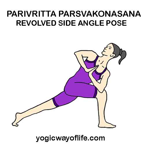 Parivritta Parsvakonasana - Revolved Side Angle Pose