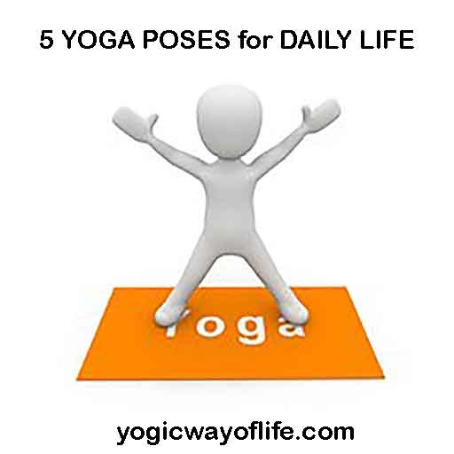 5 Yoga Poses for Daily Life