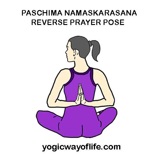 Reverse Prayer Pose