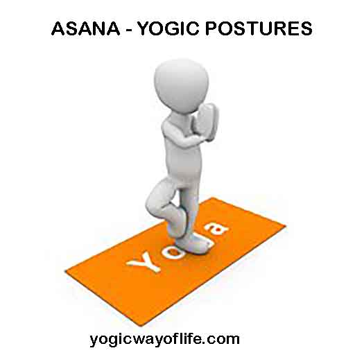 ASANA - Yogic Postures