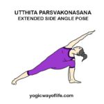 Utthita Parsvakonasana - Extended Side Angle Pose
