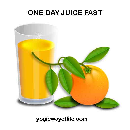 One Day Juice Fast