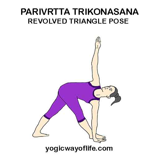 PARIVRTTA TRIKONASANA