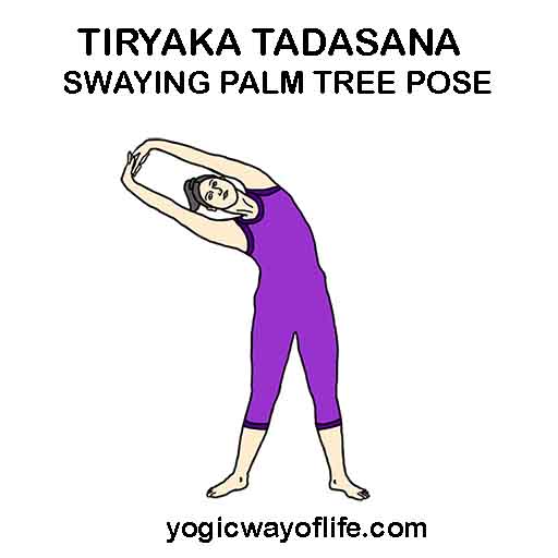 TIRYAKA TADASANA