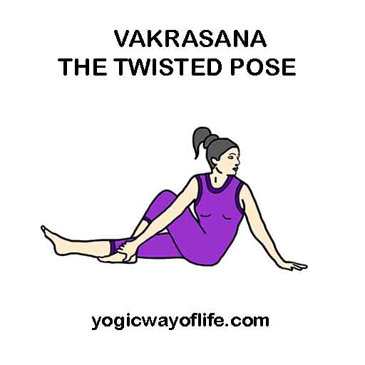 VAKRASANA - THE TWISTED POSE