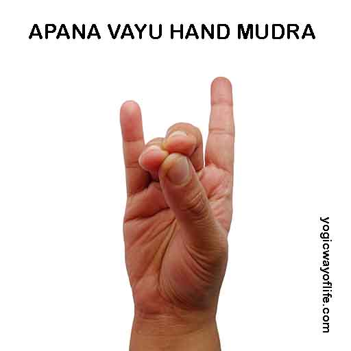 Apana Vayu Mudra - Hand Gesture