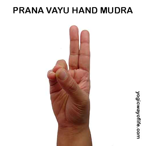 Prana Vayu Mudra - Hand Gesture