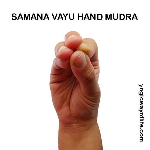 Samana Vayu Mudra - Hand gesture