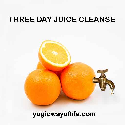Three Day Juice Cleanse for Detoxification