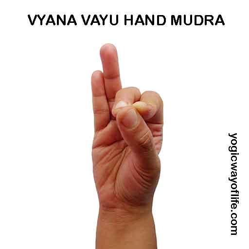 Vyana Vayu Mudra - Hand Gesture