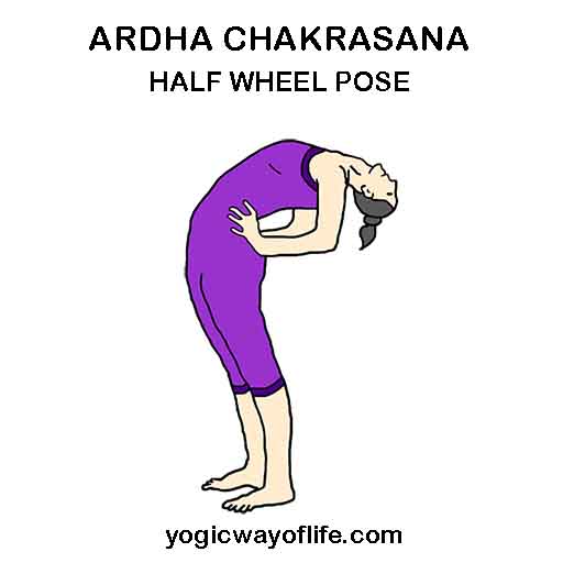 Ardha Chakrasana - Half Wheel Pose