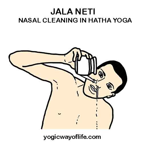 Jala Neti - Nasal Cleaning in Hatha Yoga - Shatkarma - Sinus Cleaning