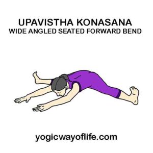 Upavistha Konasana - Wide Angle Seated Forward Bend Pose - Yogic Way of ...