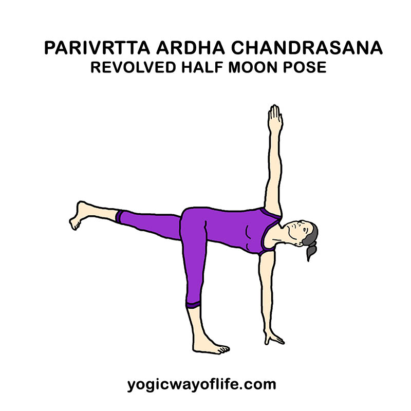 Parivrtta Ardha Chandrasana - Revolved Half Moon Pose - Yoga Asana