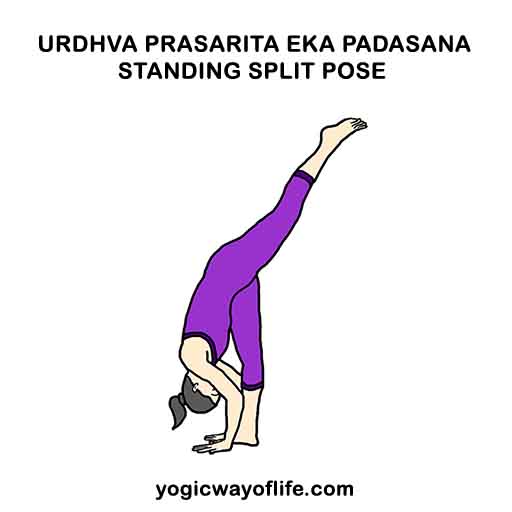 Urdhva Prasarita Eka Padasana - Standing Split Pose
