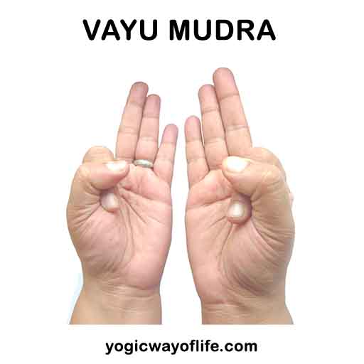 Vayu Mudra - To regulate air element in the body