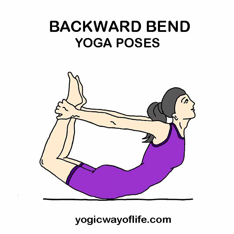 Backward Bend Yoga Asanas or Poses