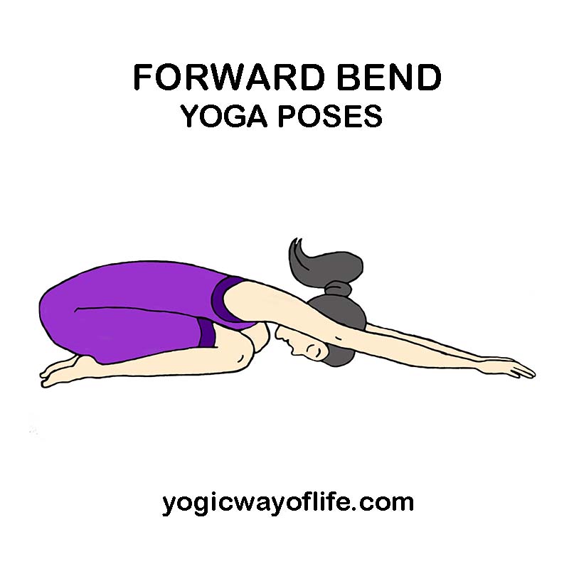 Forward Bend Yoga Asanas or Poses