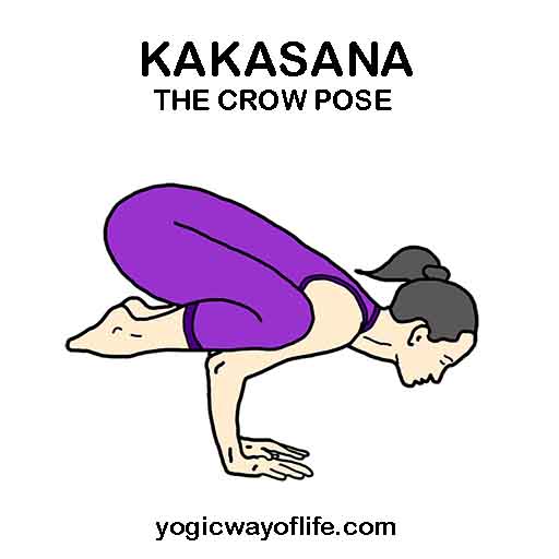 Steps to get the baby crow yoga pose – Chic & Love