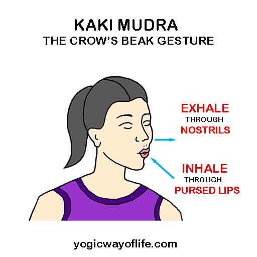 Kaki Mudra - The Crow's Beak Gesture