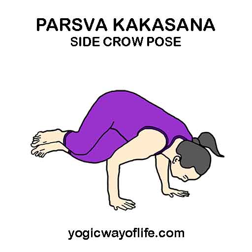 Parsva Kakasana - Side Crow Pose