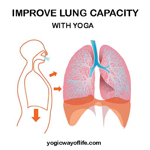 Yoga to Improve Lung Capacity