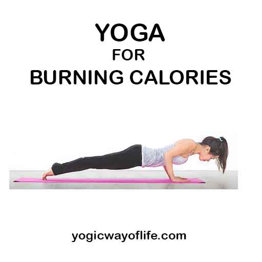 Yoga for burning calories
